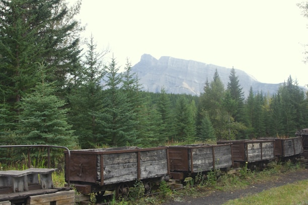 Several wooden mining carts are lined up on a track in a forested area with dense pine trees. Behind the trees, a large rocky mountain range rises against the background, partially obscured by mist or haze. The scene conveys a sense of abandonment and natural encroachment.