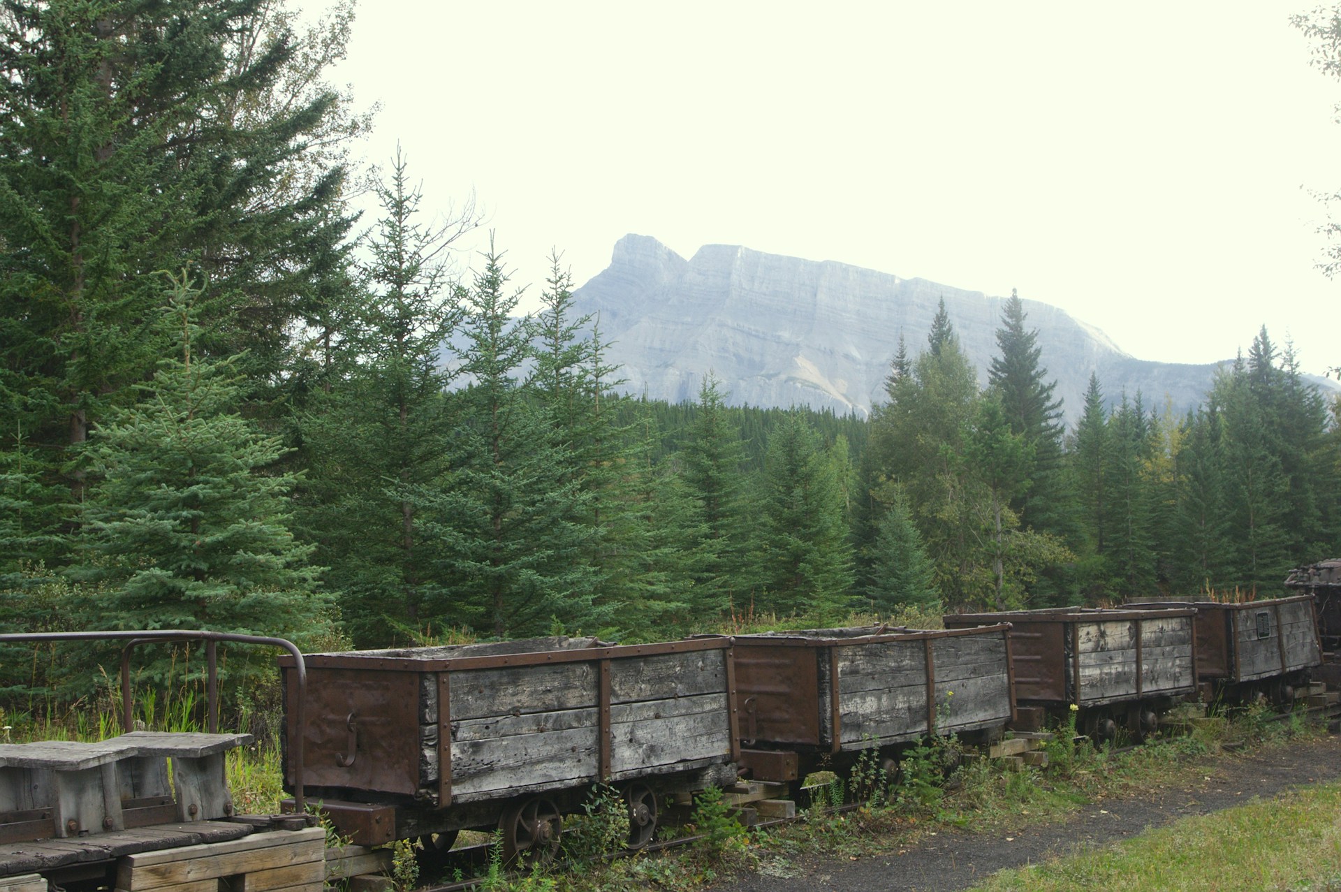 woman wearing yellow long-sleeved dress under white clouds and blue sky during daytime