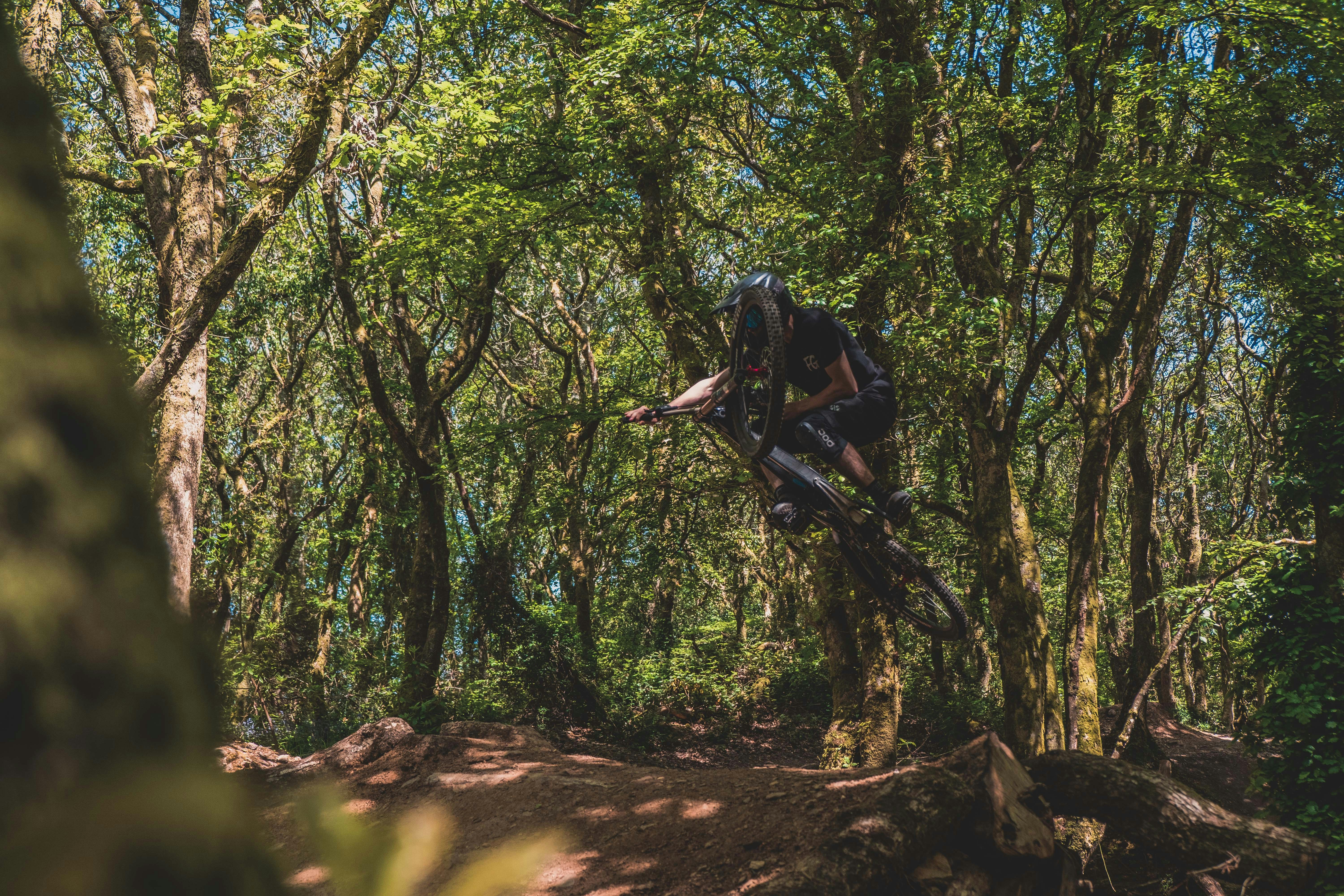 Photo by mentalmoorse