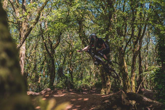 Mountain biker launching off a rugged trail jump surrounded by dense forest.