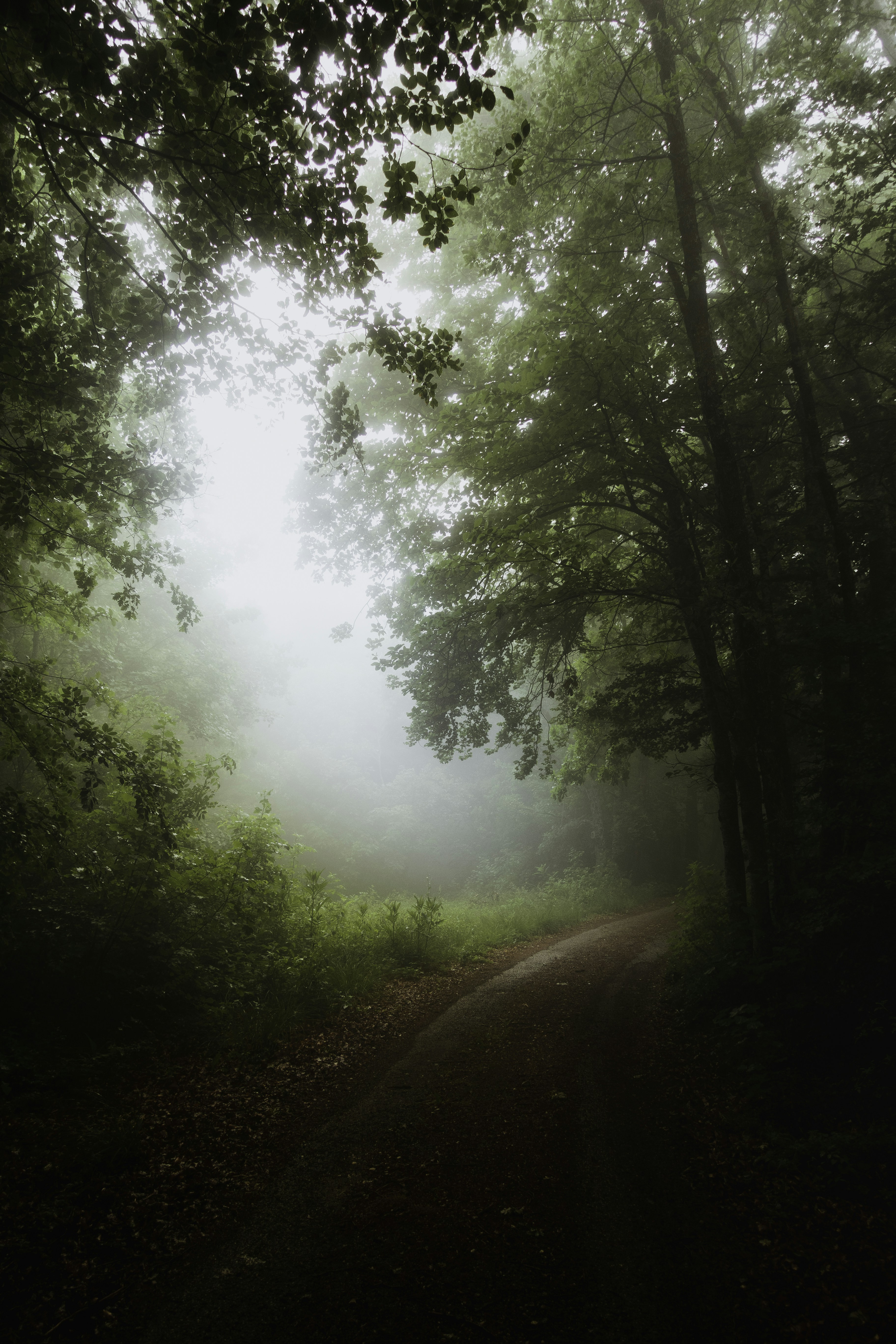 Embracing Seasonal Transitions: Prioritizing Health and Gut Wellness