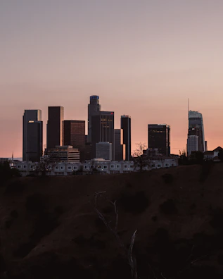 Sunset silhouette of a skyline emphasizing vertical lines and future growth potential.