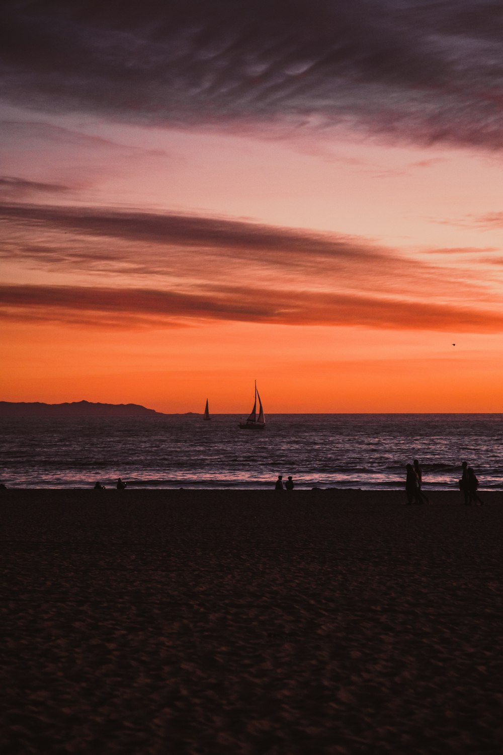 silhouette of people on seashore during daytime