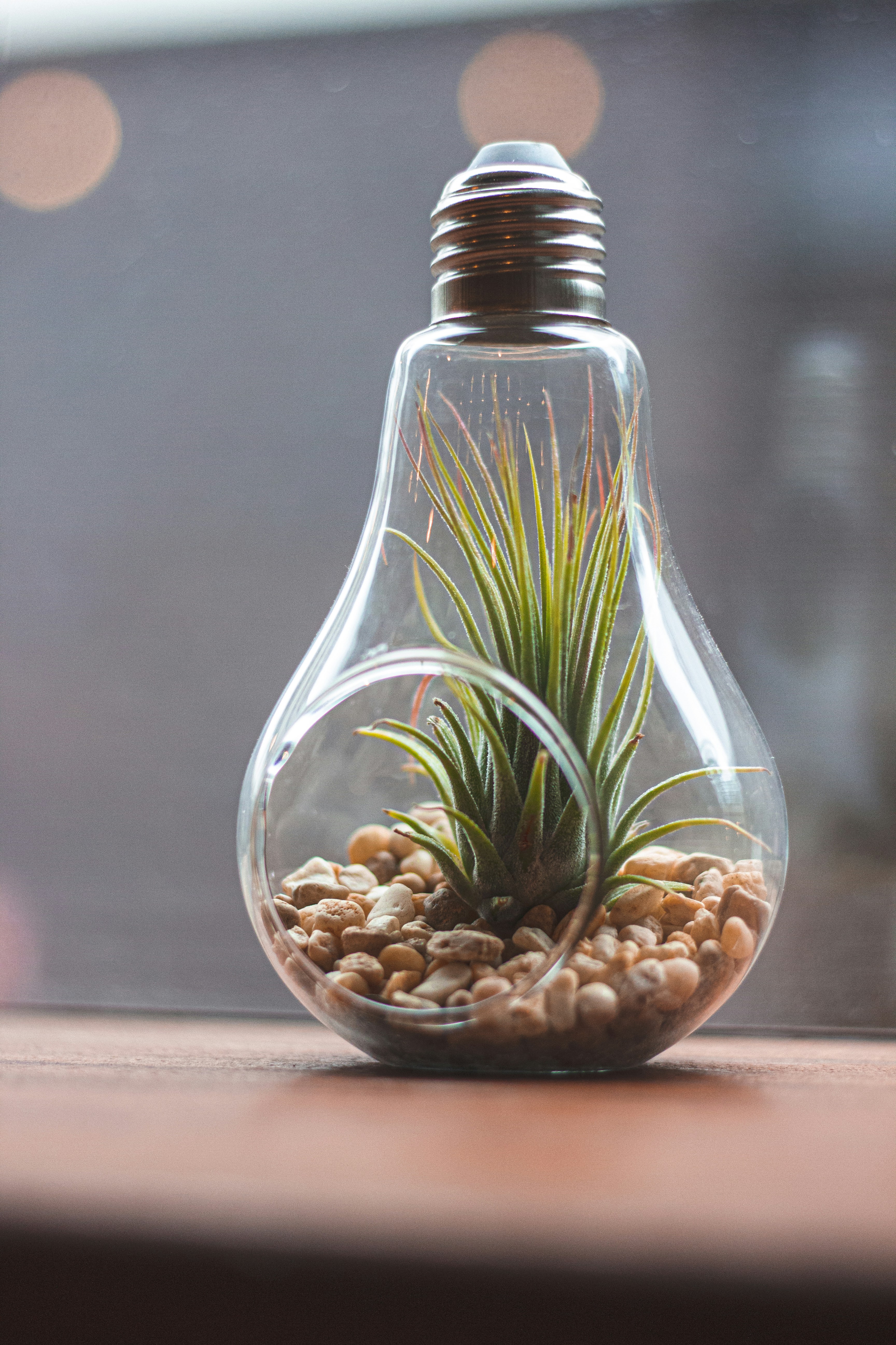 Photo by connorpopephotos