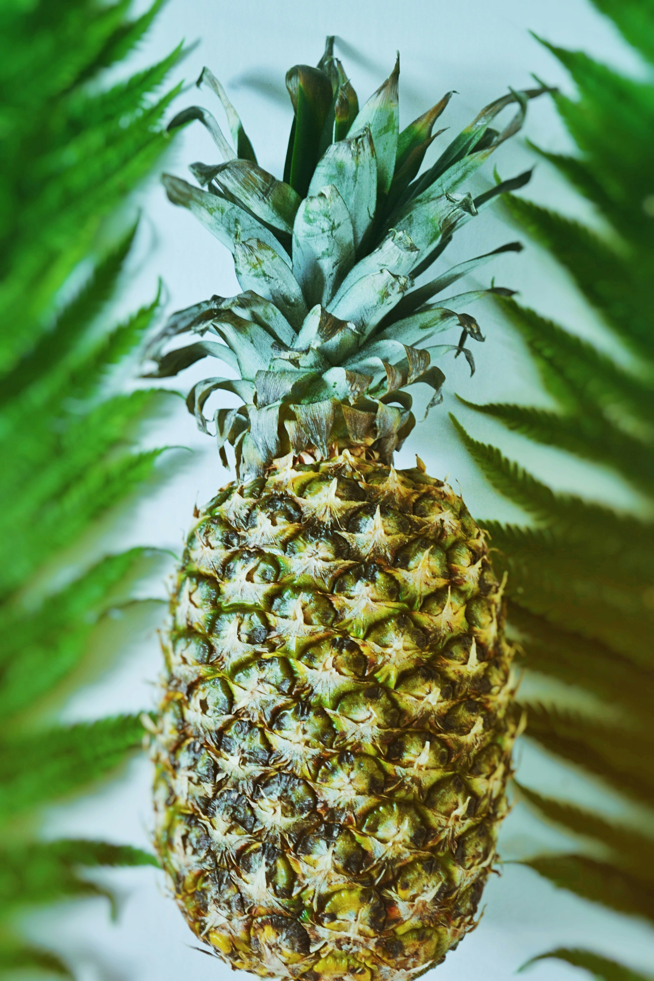 tropical fruit wallpaper, wallpaper, 5 Manfaat Jengkol untuk Pria yang Jarang Diketahui 3