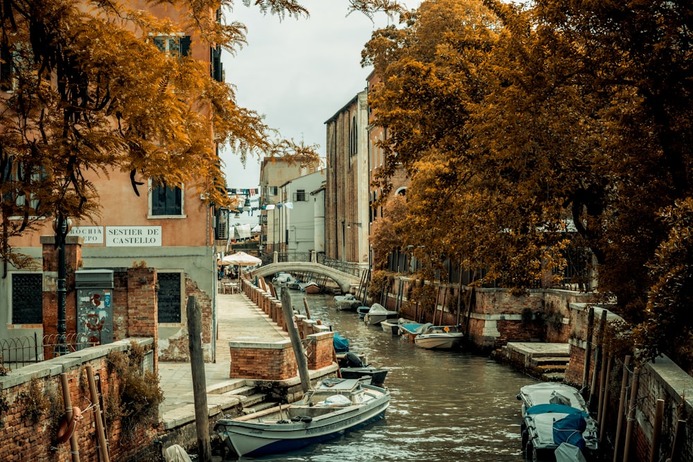 white boat beside brown building