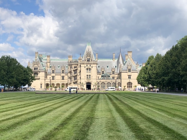 Discover Asheville: A Local's Guide
