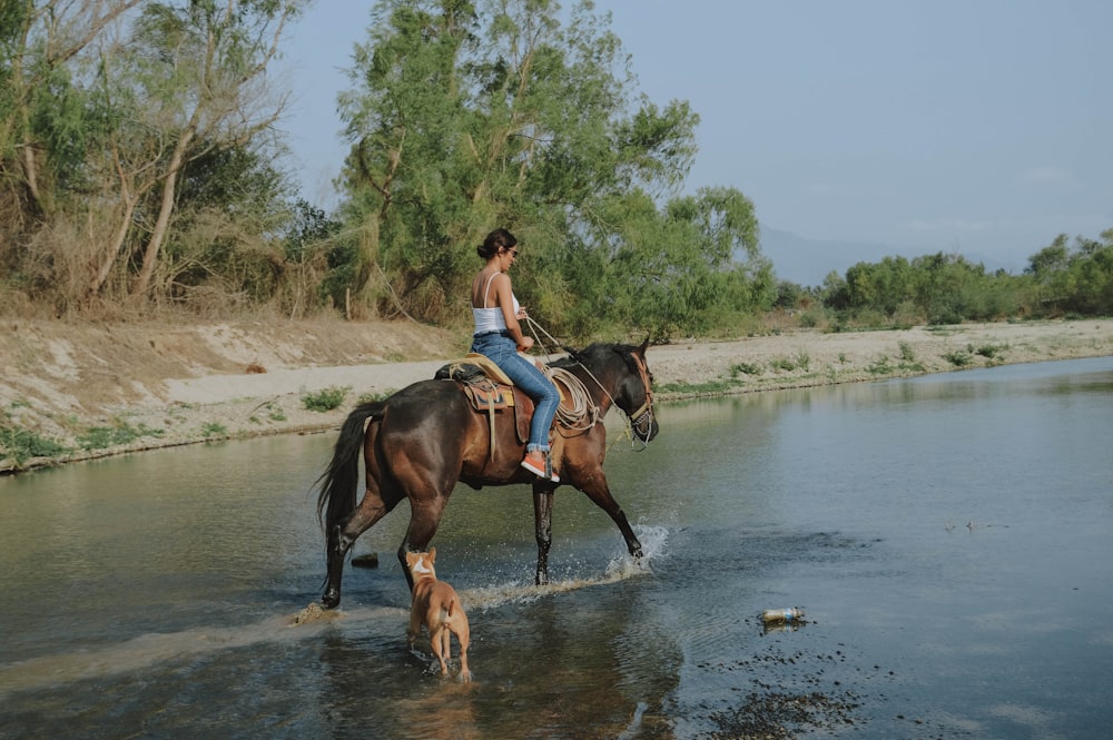 woman riding horse in body of water
