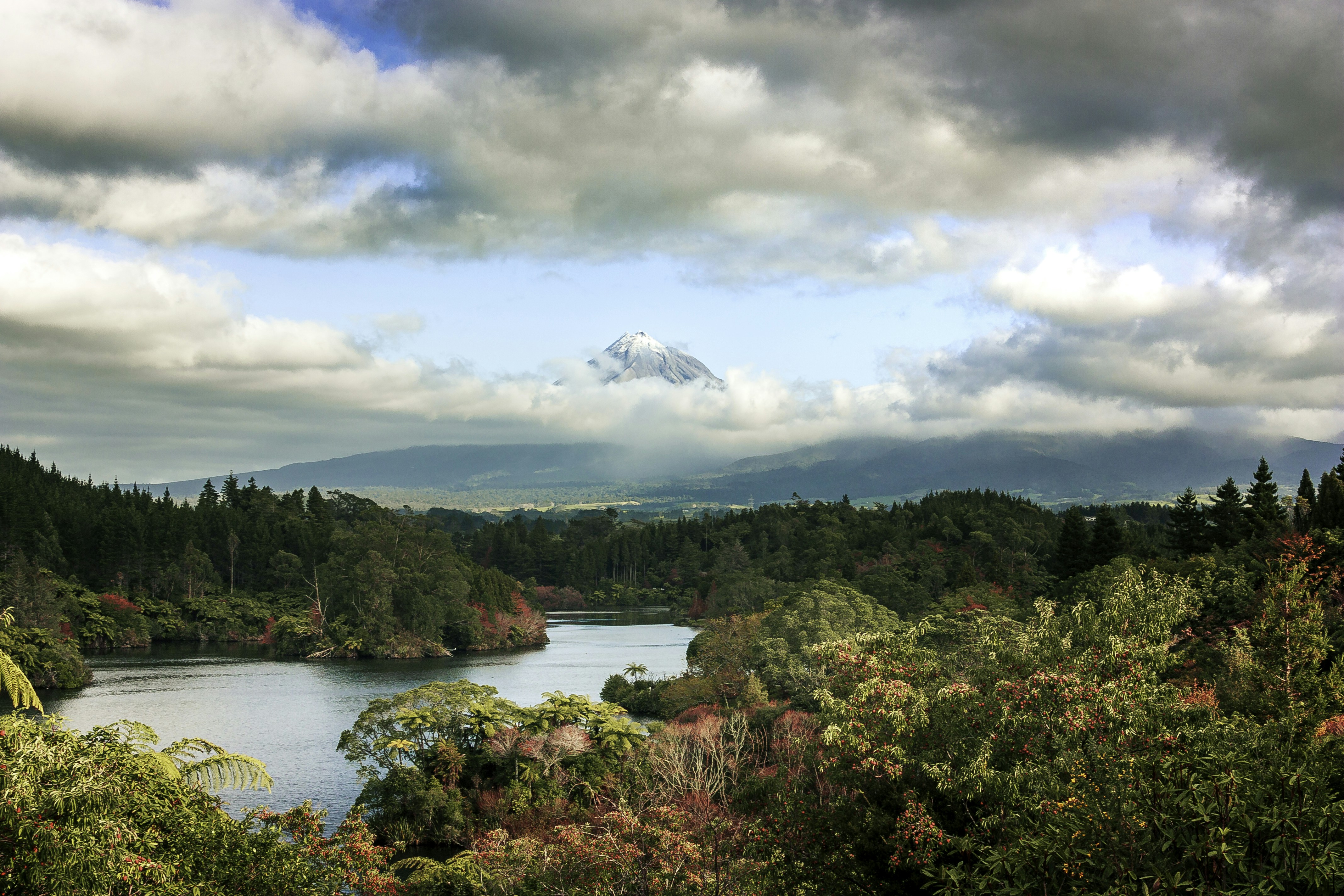 Photo by dandyoctopus