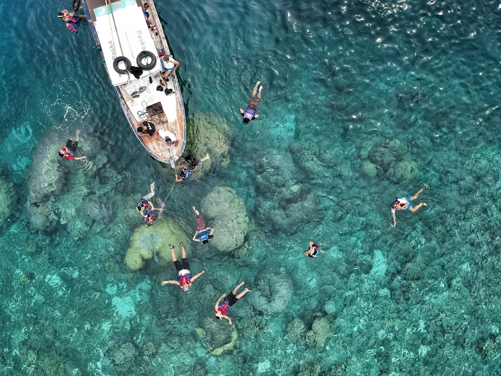 people swimming near boat