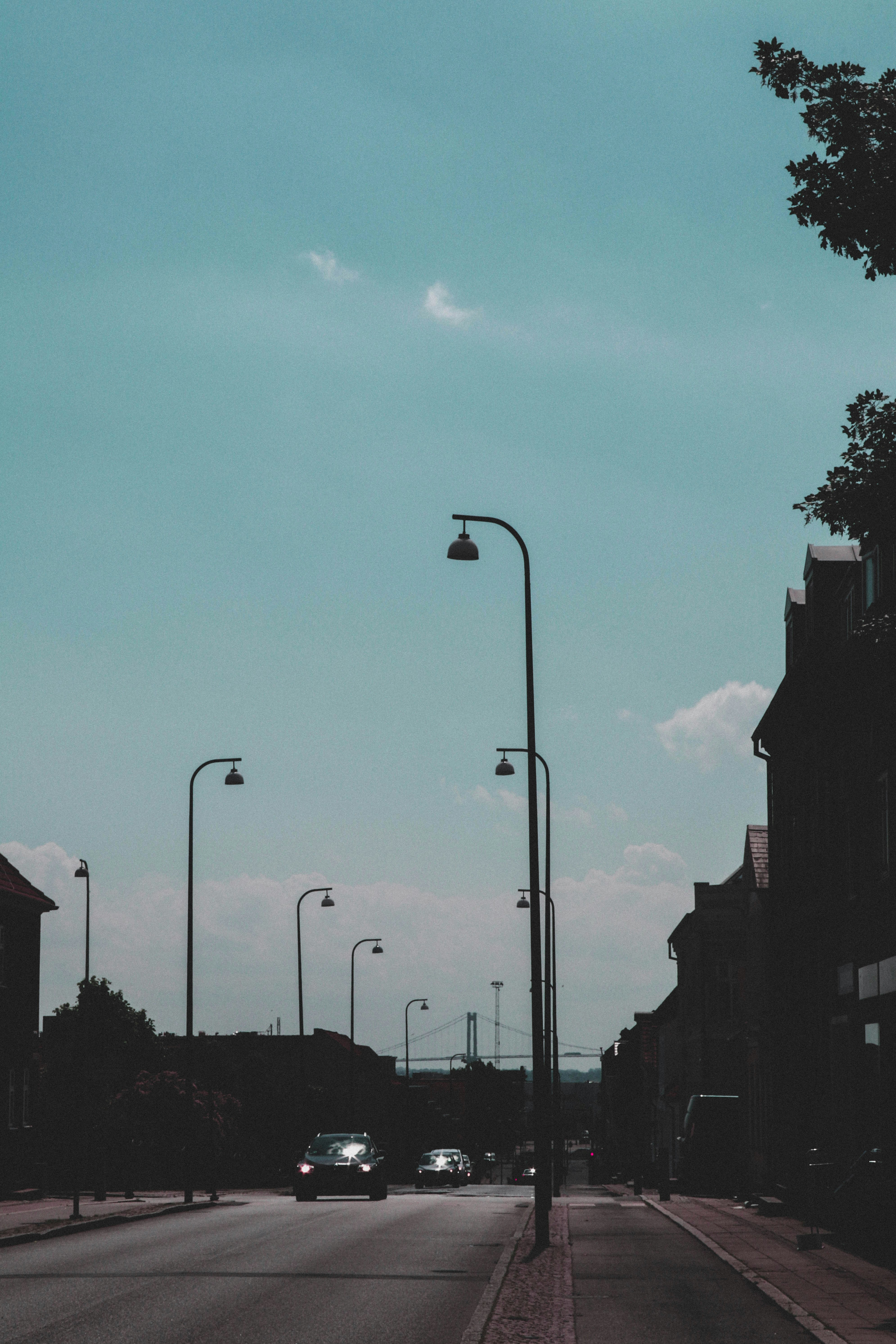 Photo by irinagrotkjaer