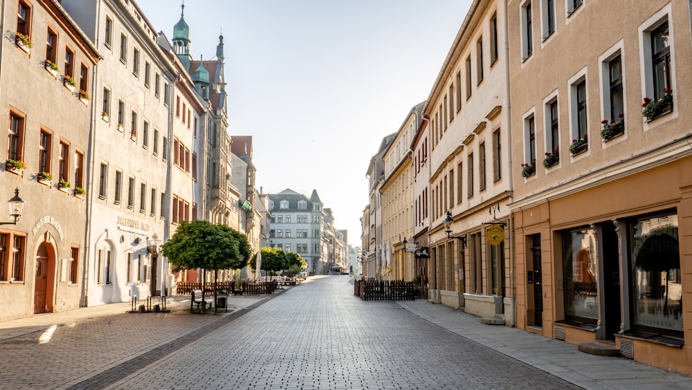 Bäume in der Nähe von Gebäuden