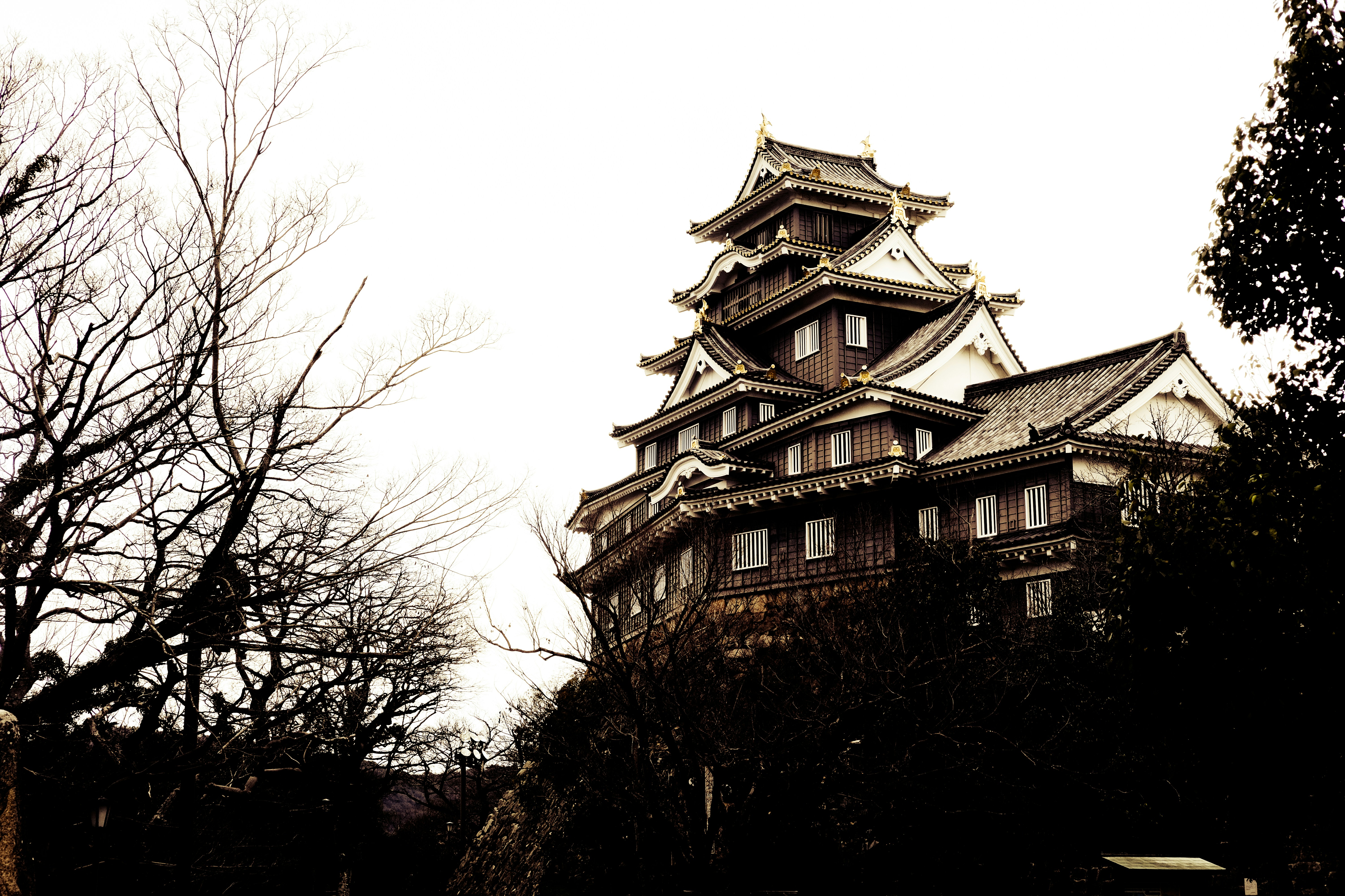 brown and white pagoda building
