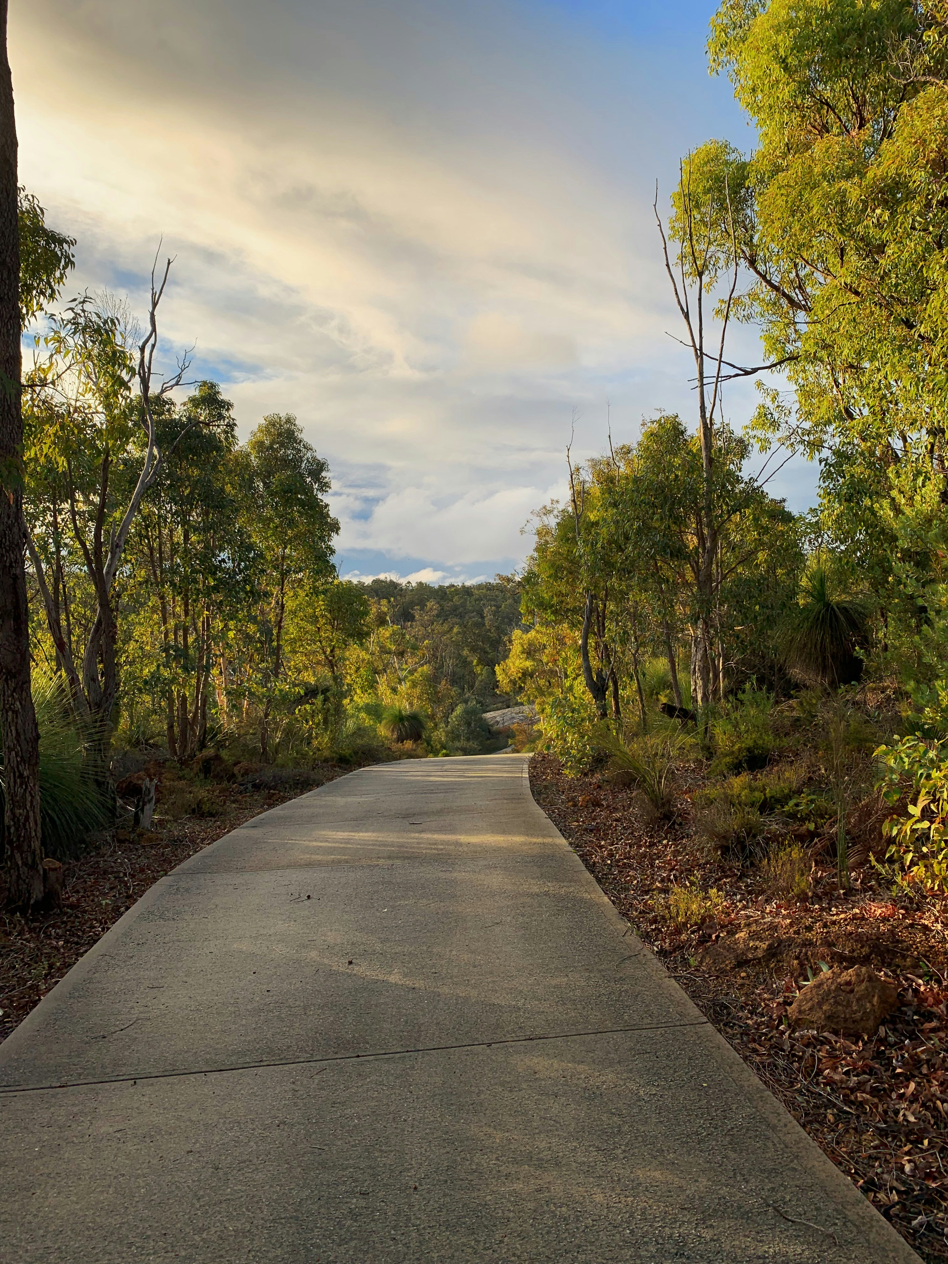 Photo by shivamdewan