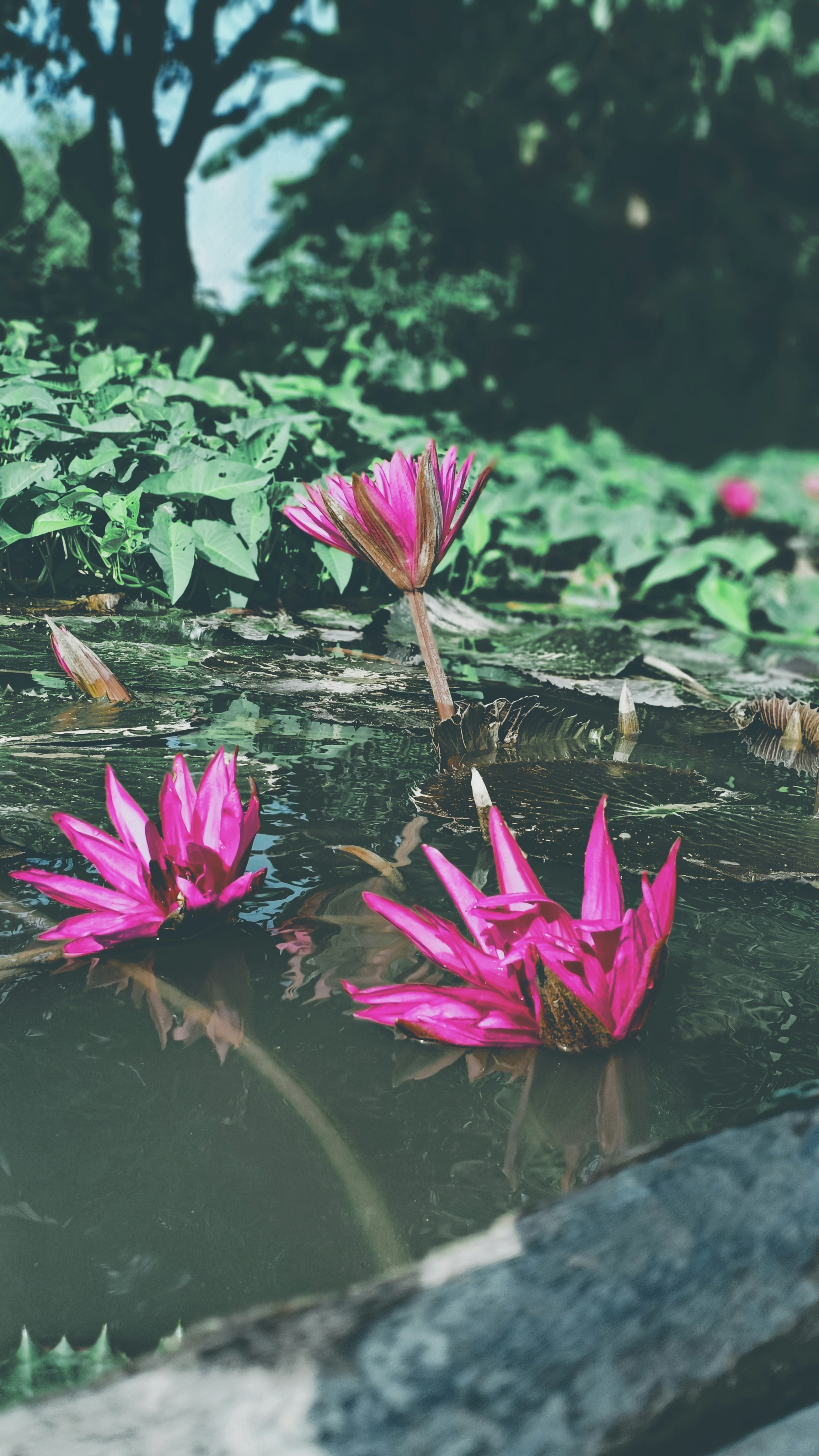 Photo by yeon01050508