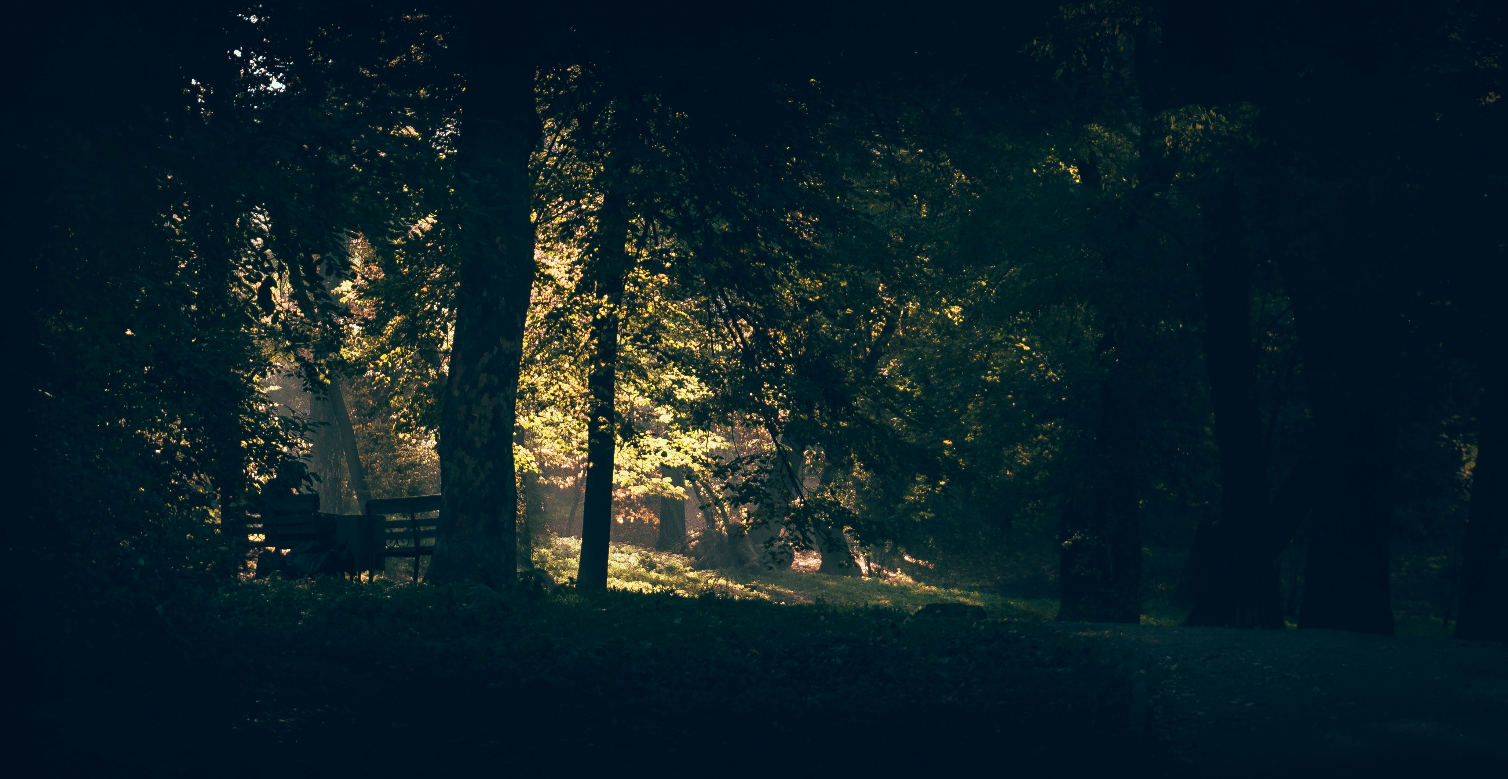 Photo by shishkovdima