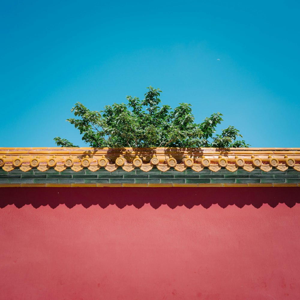 tree near roof