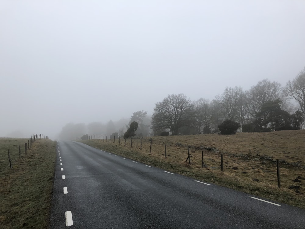 road between grass field during daytime