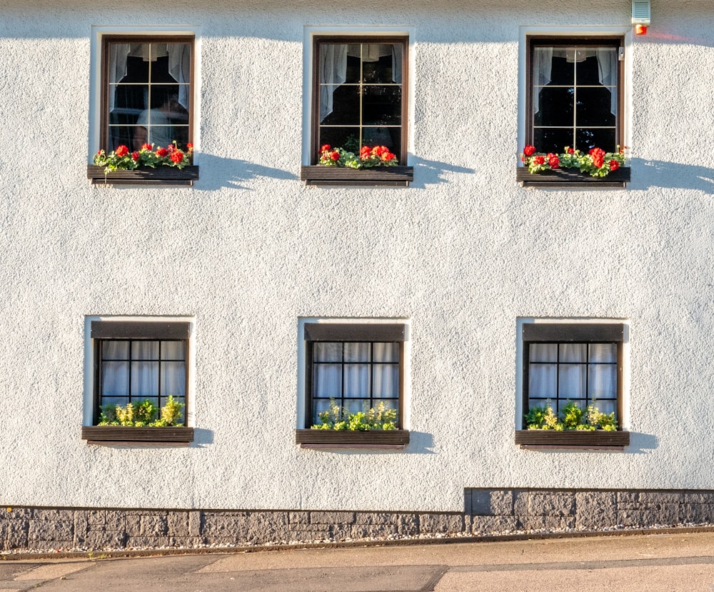 white concrete building