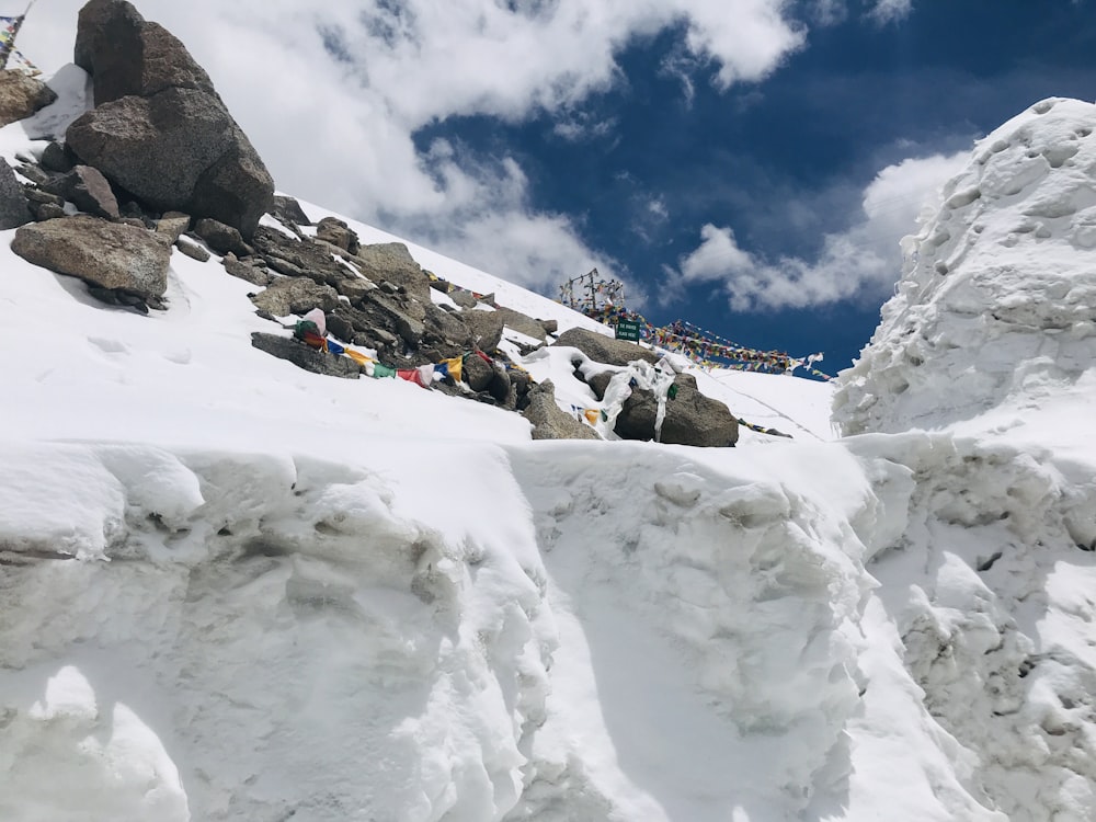 snow covered ground