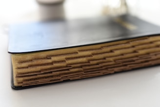 A thick book with a black cover is closed and lying flat on a surface. The pages are visible, showing numerous brown tabs extending from the edges, likely for organizational purposes.
