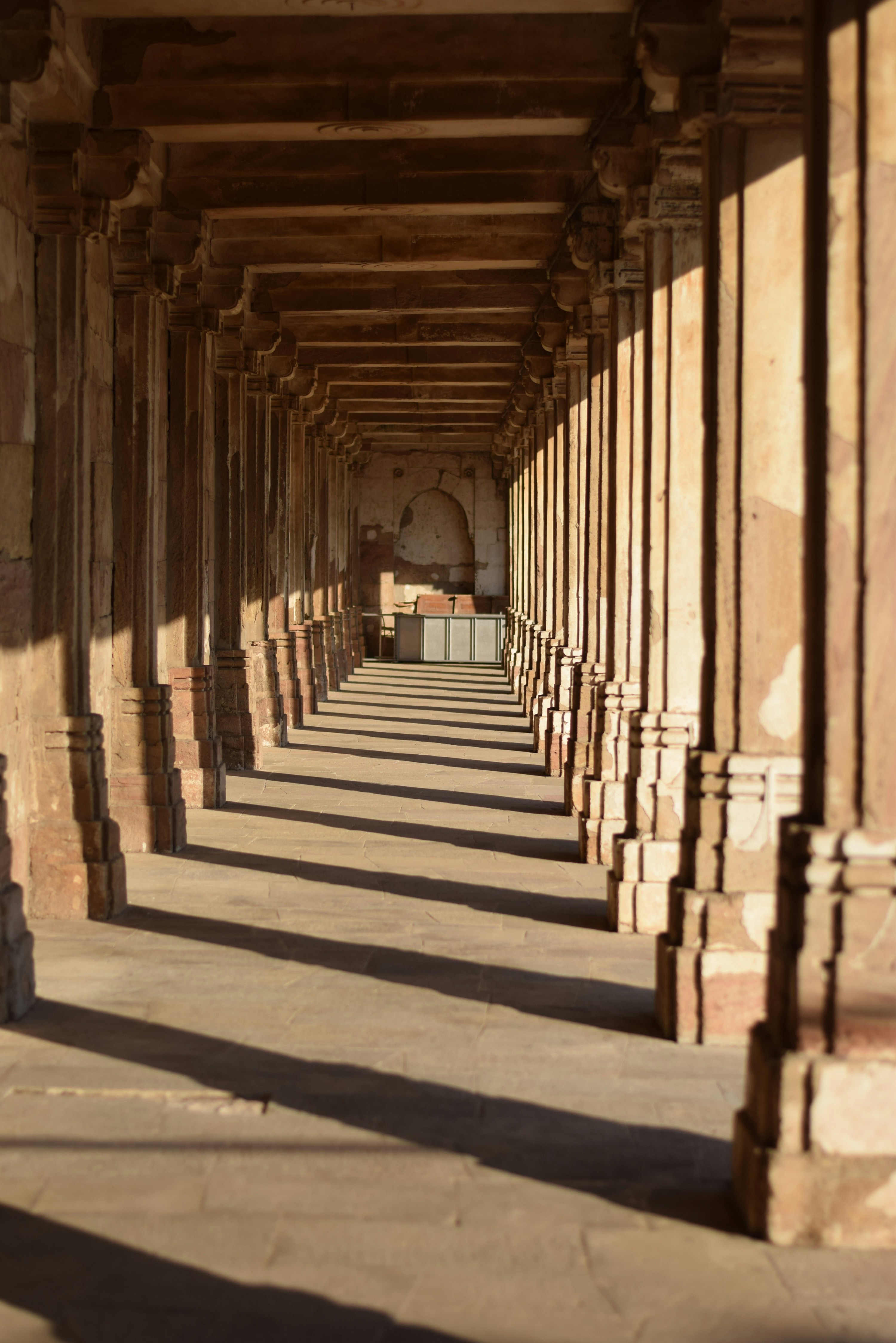 Photo by maheima_kapur