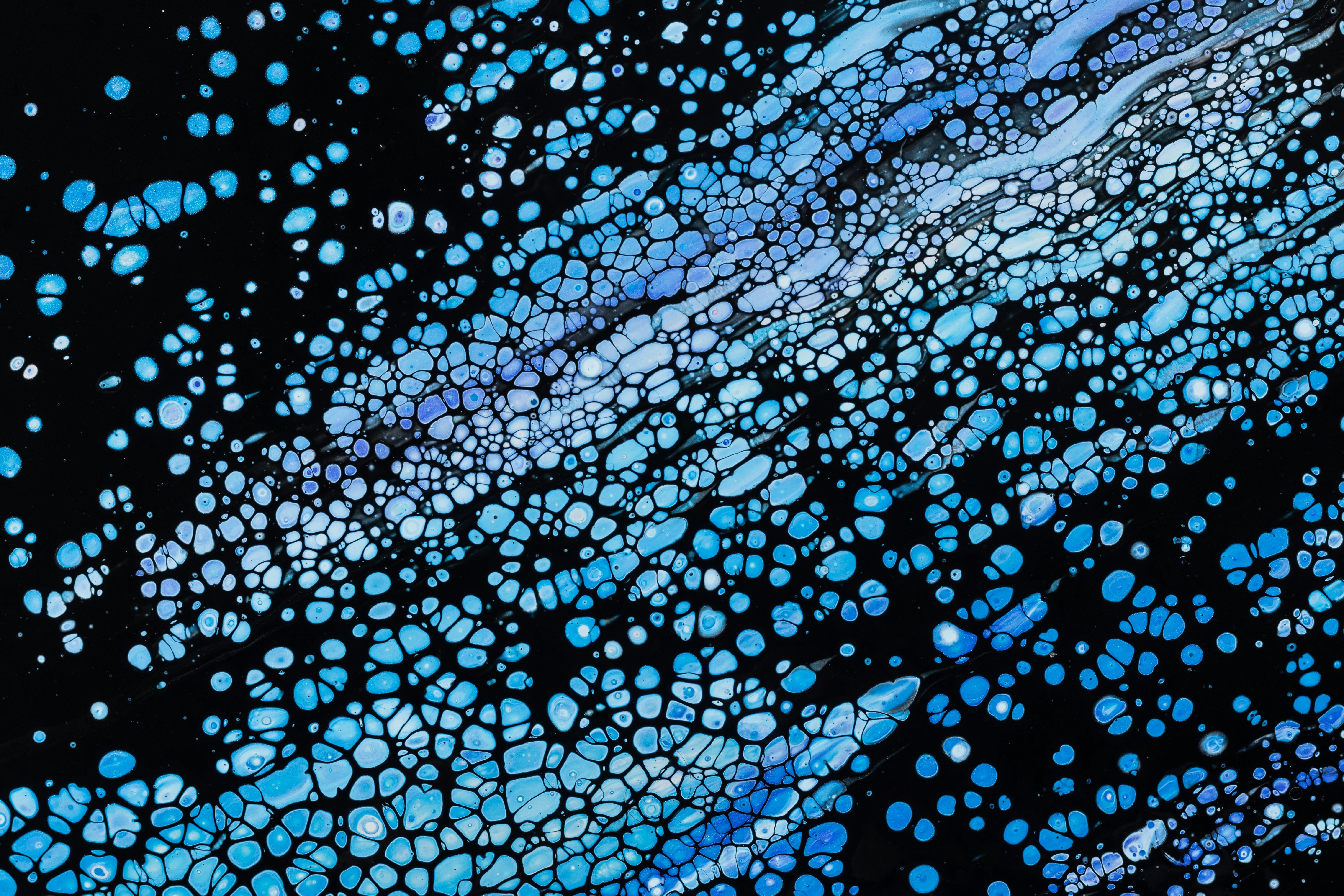 Metis MTS header image