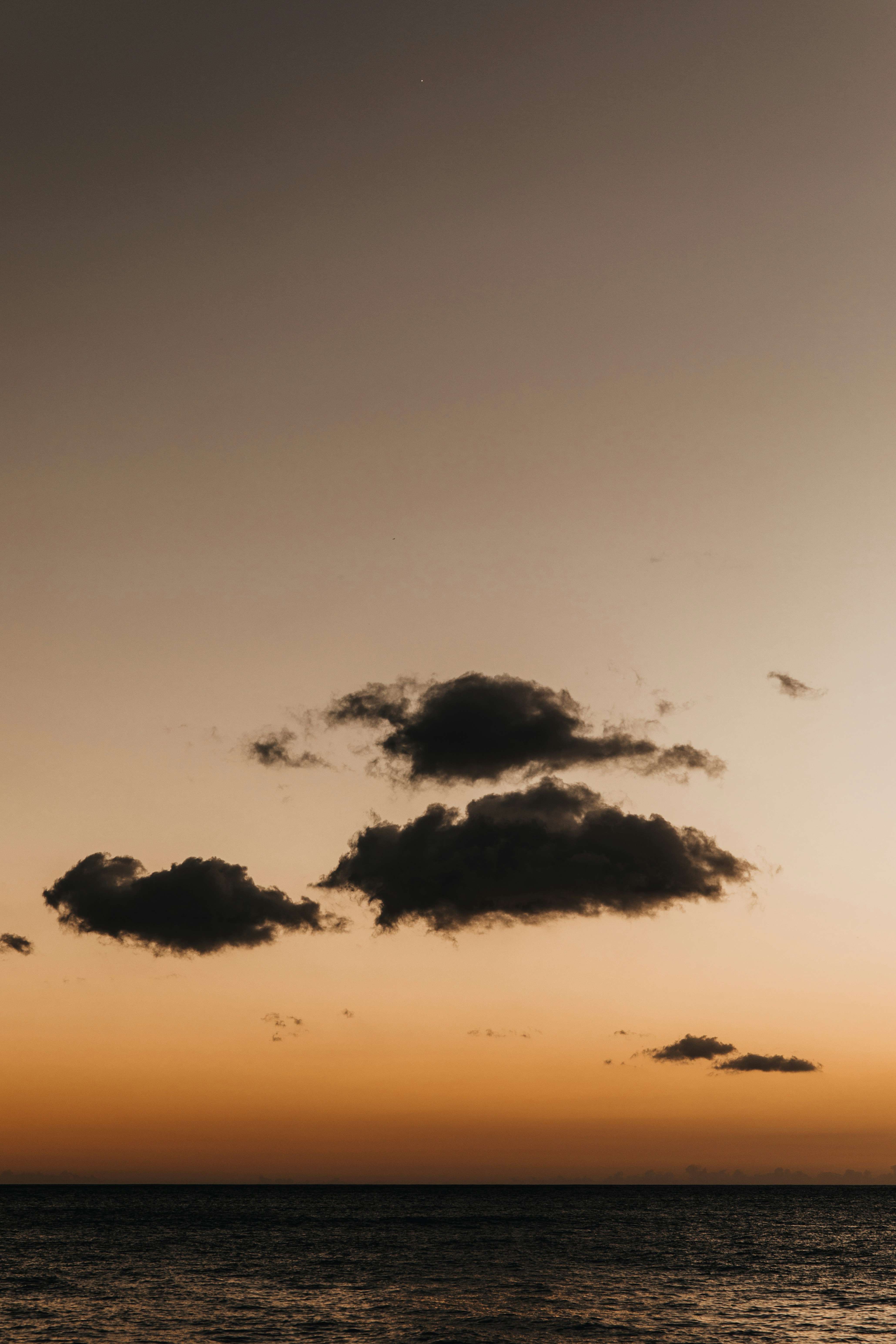 Photo by patresinger