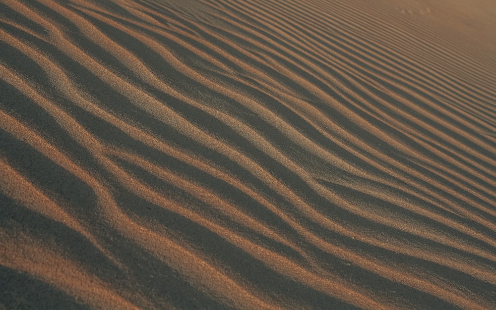 desert sand at sunrise