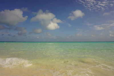 A serene Andaman beach with turquoise waves gently lapping the white sand under a bright blue sky.