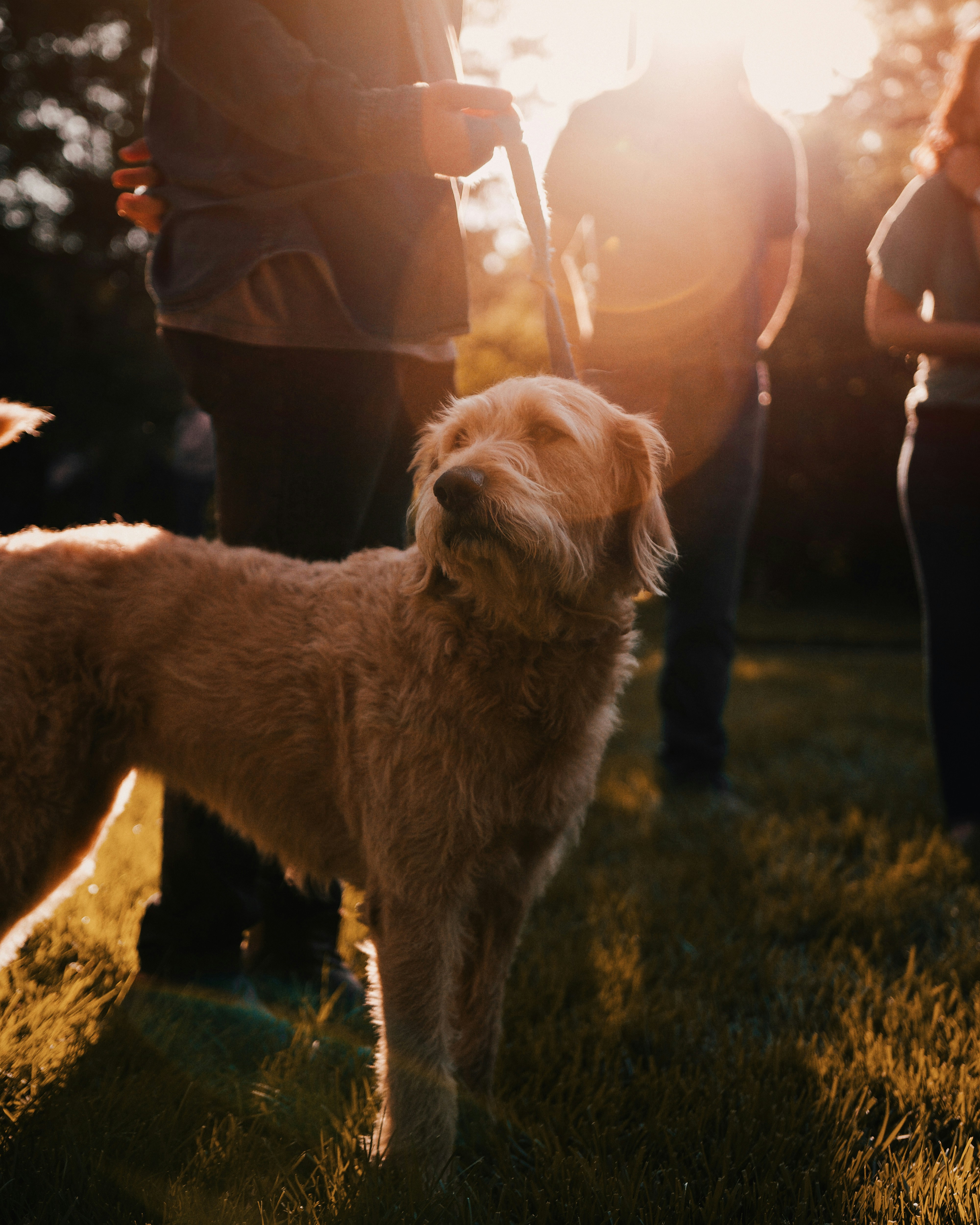 Photo by leviventura_