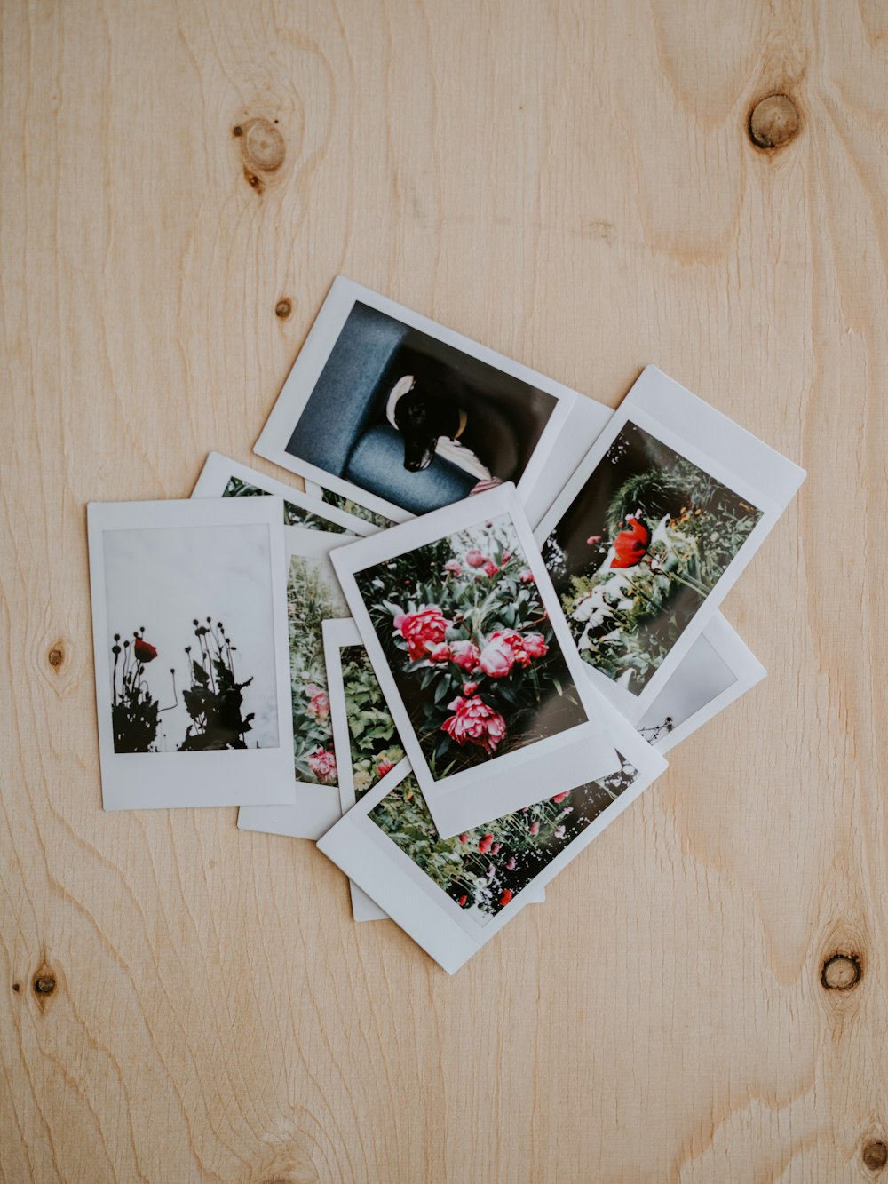 instant photos of flowers on brown wooden pane