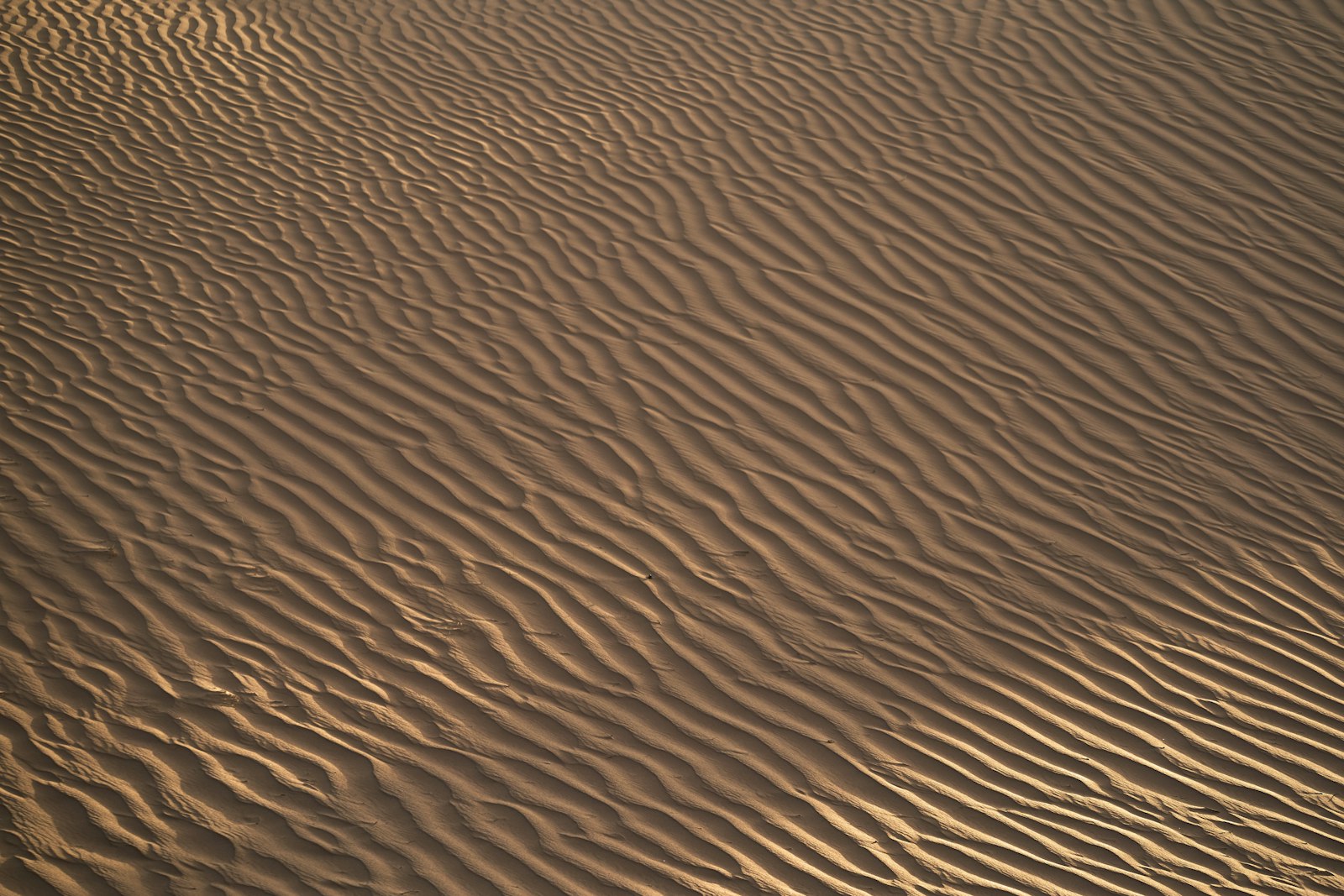 Sony FE 70-300mm F4.5-5.6 G OSS sample photo. View of sand dunes photography