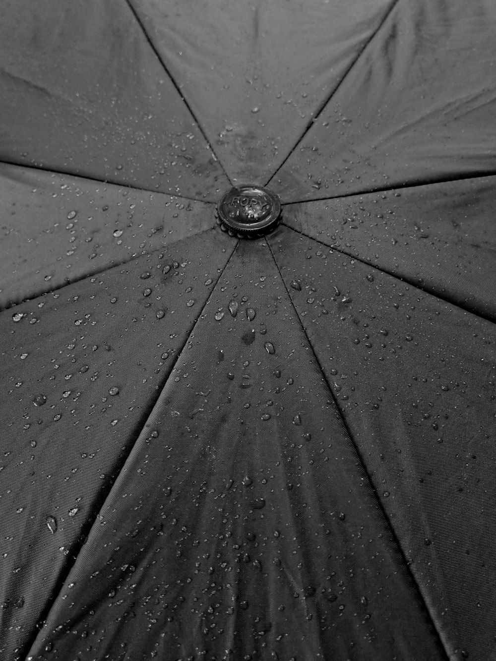 black umbrella