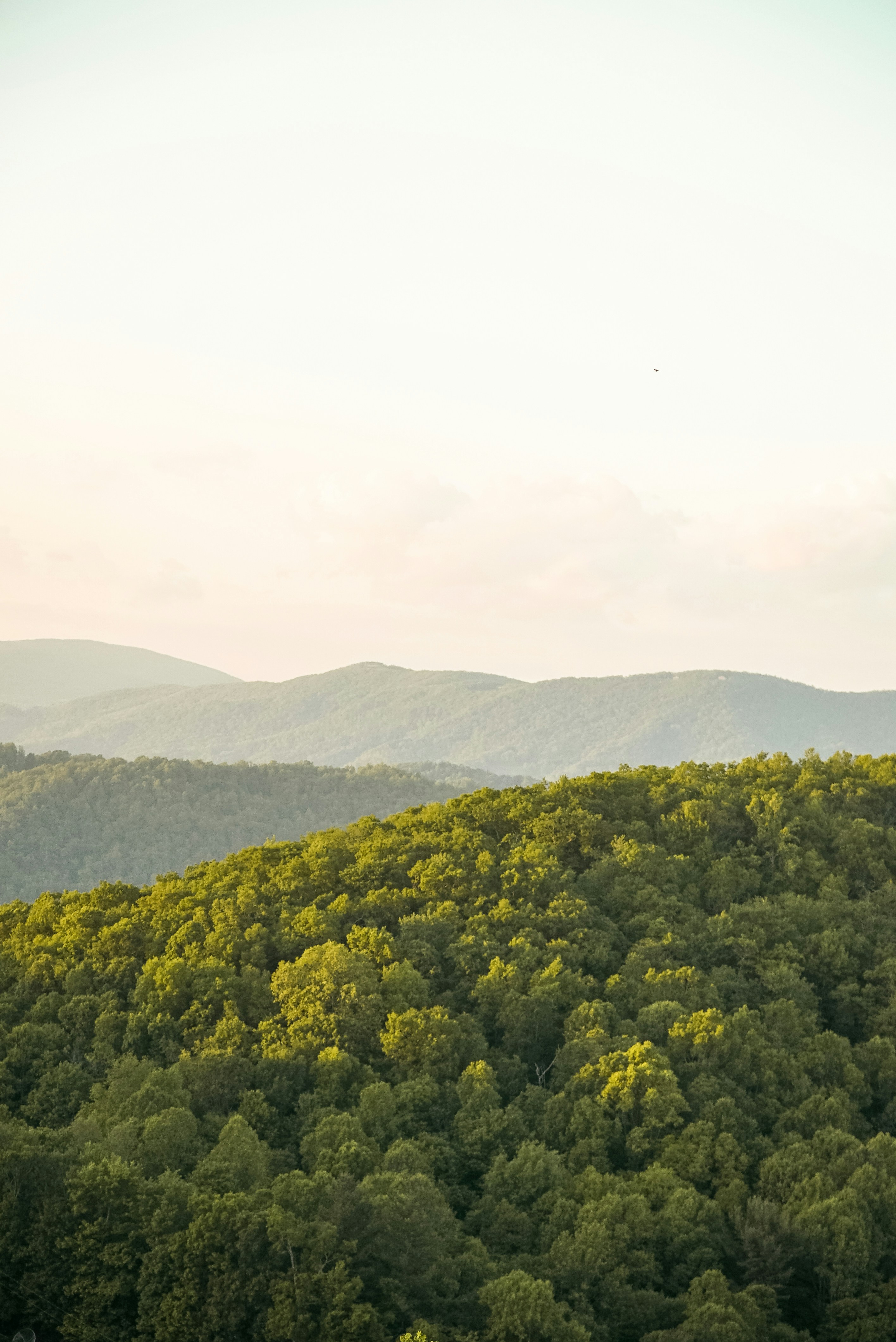 Photo by clstrickland