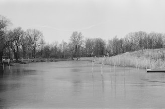 A black-and-white analog photograph of a quiet lakeside at dawn by Somerled