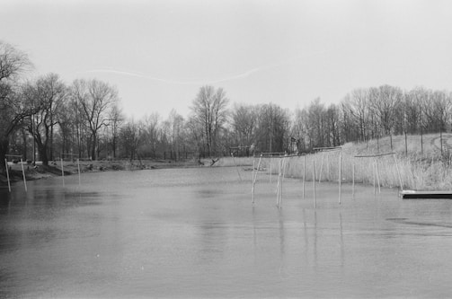 A black-and-white analog photograph of a quiet lakeside at dawn by Somerled