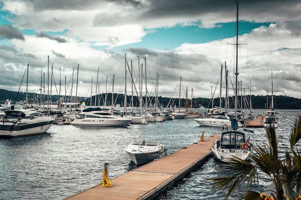 weiße Boote auf dem Gewässer