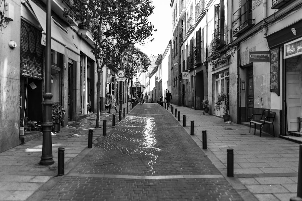 Foto en escala de grises de una calle de ladrillos