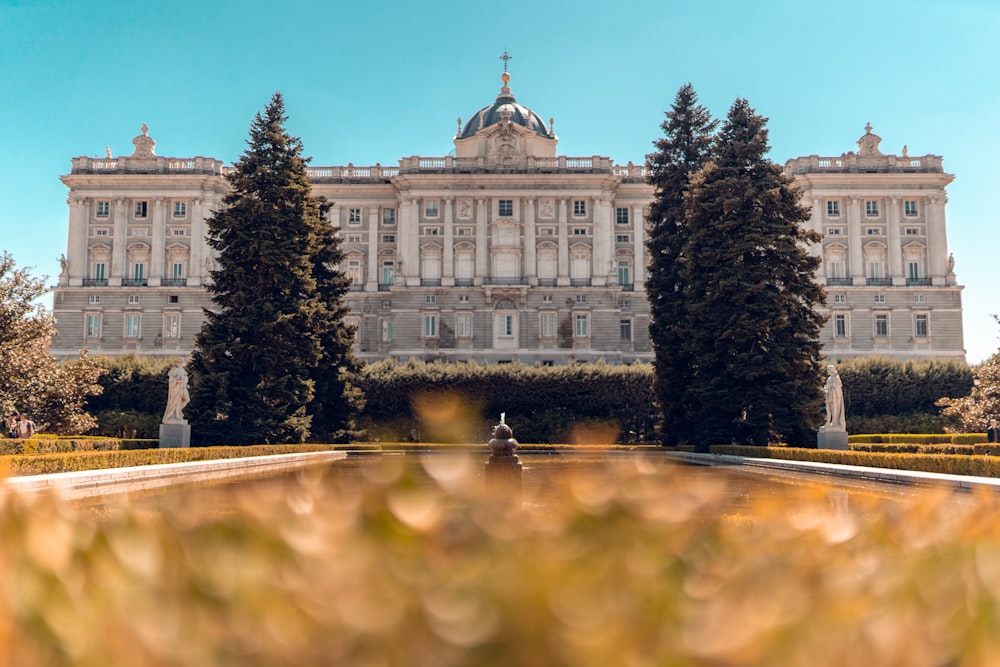 person standing in front of white building