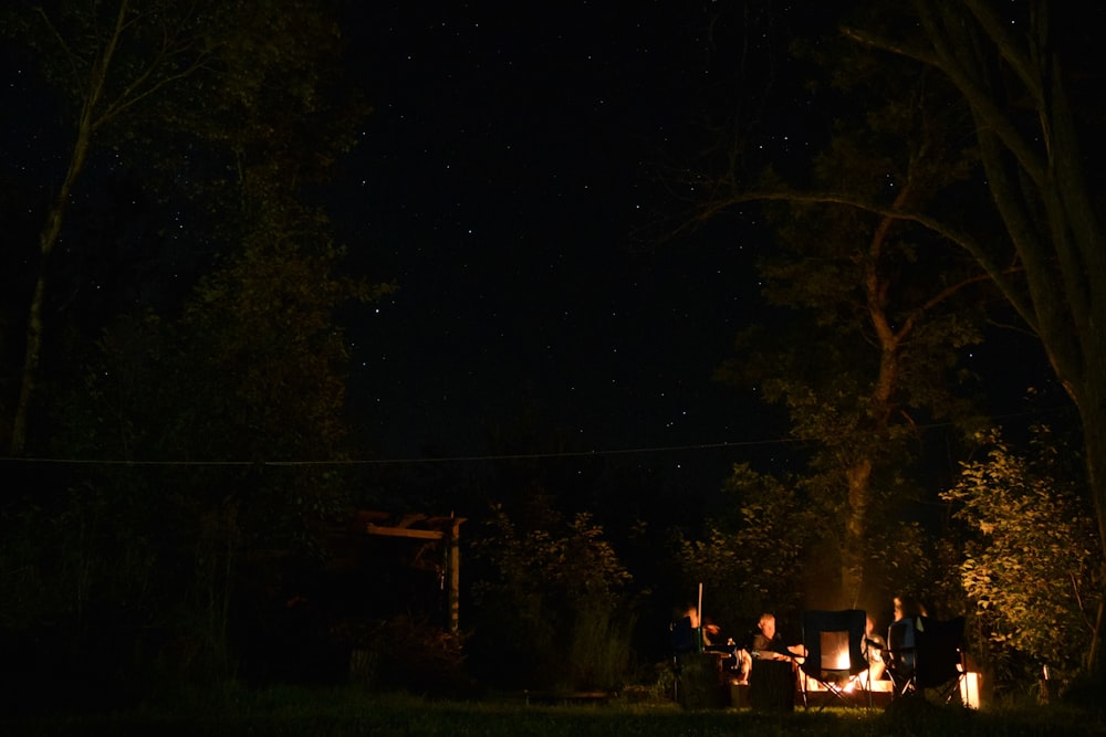 people camping during nighttime