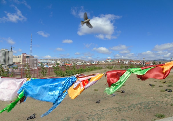 Close-up of a blue skirt fluttering in the wind against a city backdrop