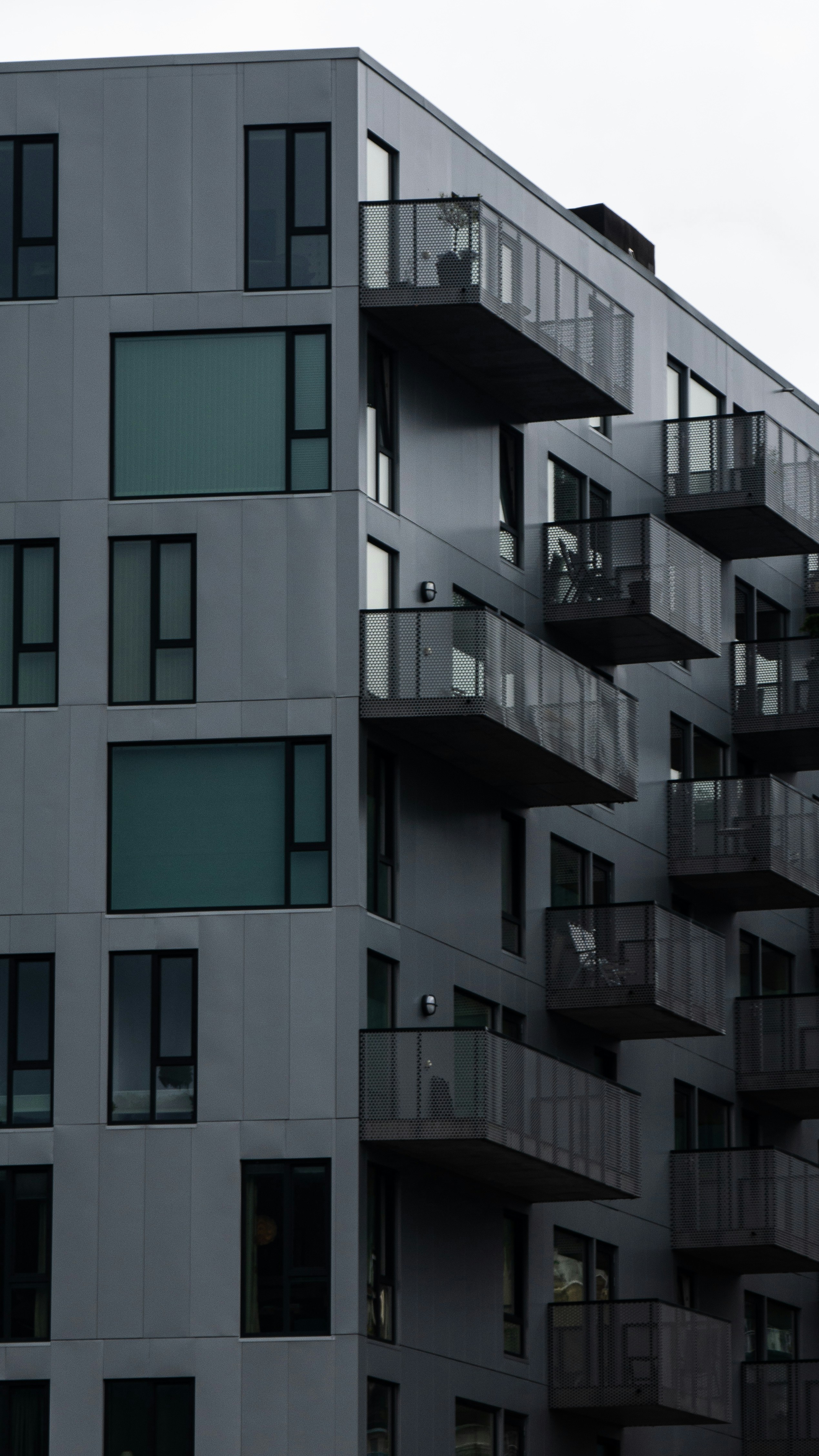 Photo by lucas_friedrich