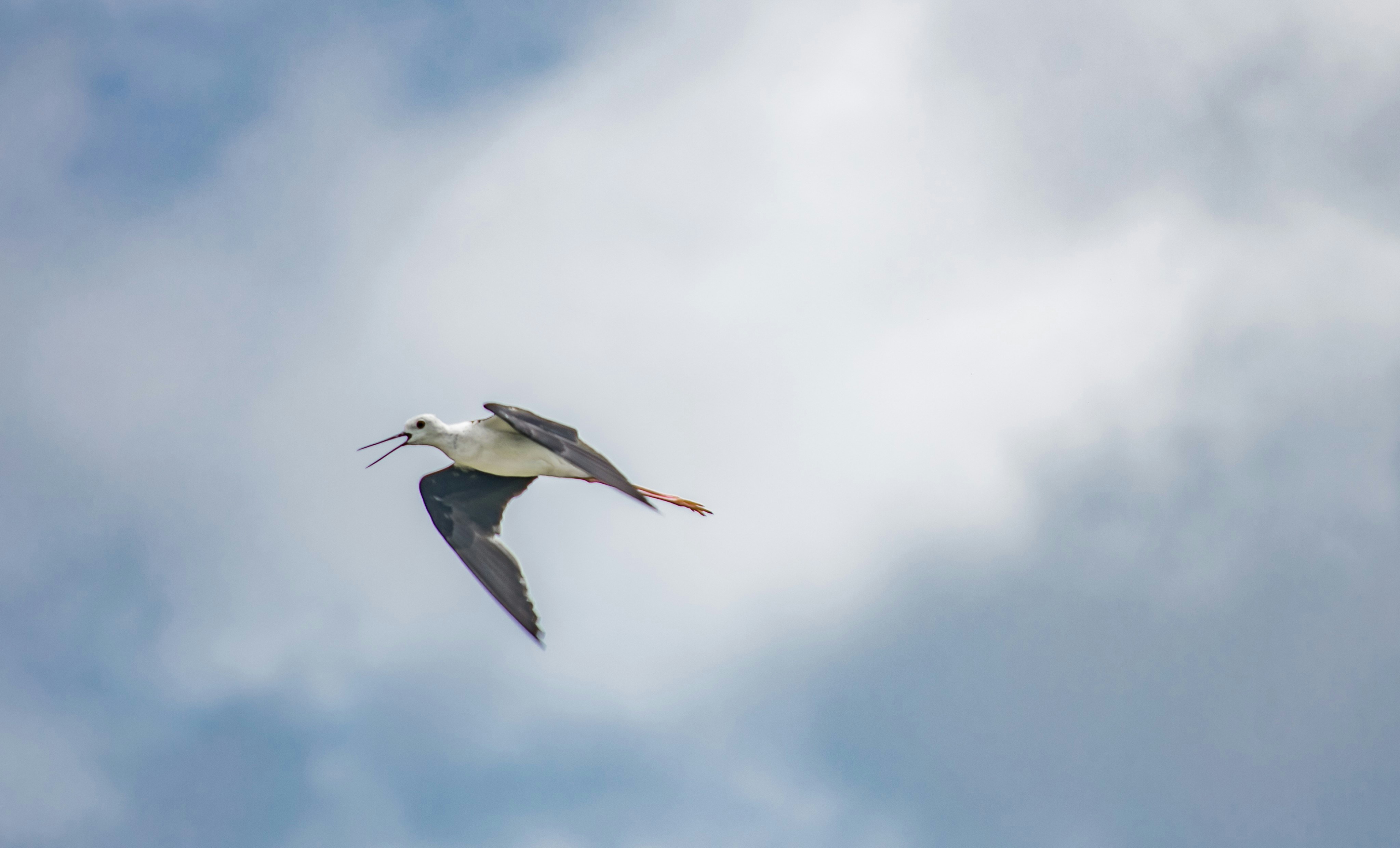 Photo by ifreezesometimes