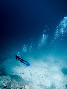 scuba diving as an image for self-discovery