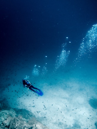 person scuba diving in water