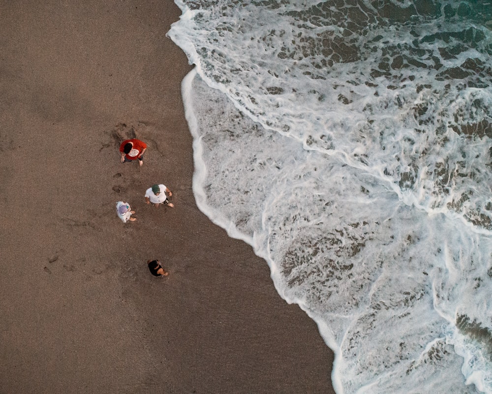 aerial view of people on seashore