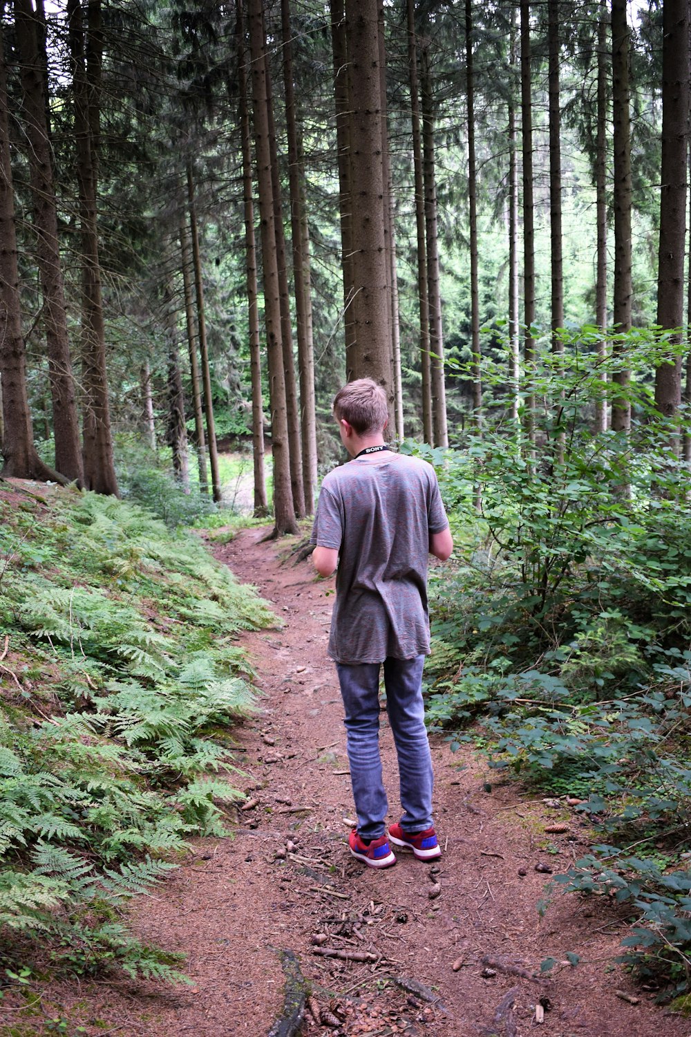 man standing on forest
