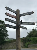 A wooden signpost with multiple directional signs pointing towards various village attractions such as the Village Hall, Post Office, Car Park, Shop and Information, Grove Rare Books, Lavatories, and The Tea Cottage. The background features greenery and a stone wall under a cloudy sky.