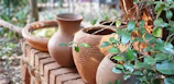 Artful landscape ceramics arranged outdoors, blending harmoniously with natural surroundings.